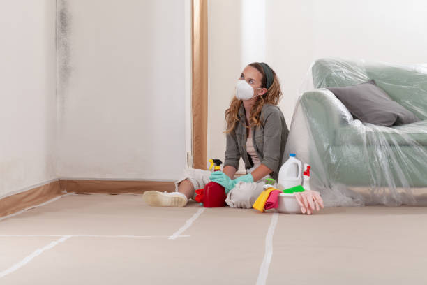 Reliable Black Mold Removal contractor in Florence, KY by WQB Mold Removal